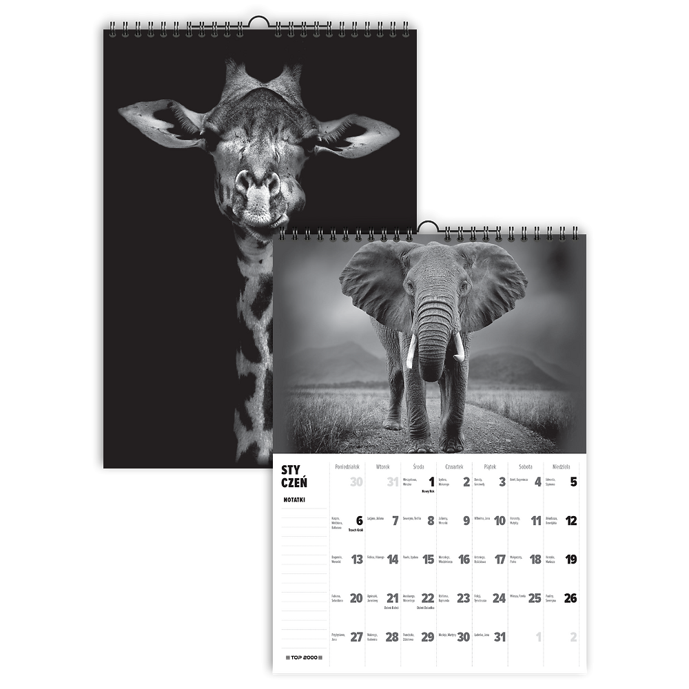 Zdjęcie główne [MP]