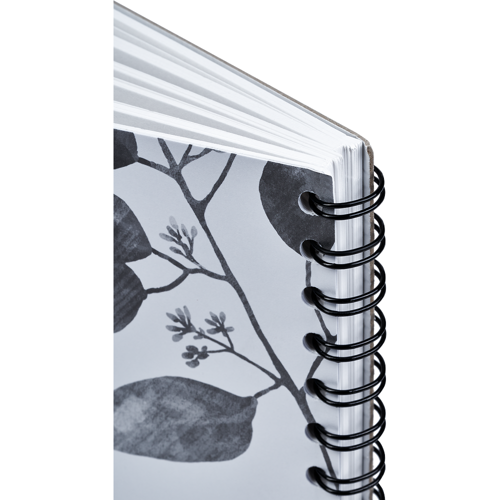 Packshot open [1503]