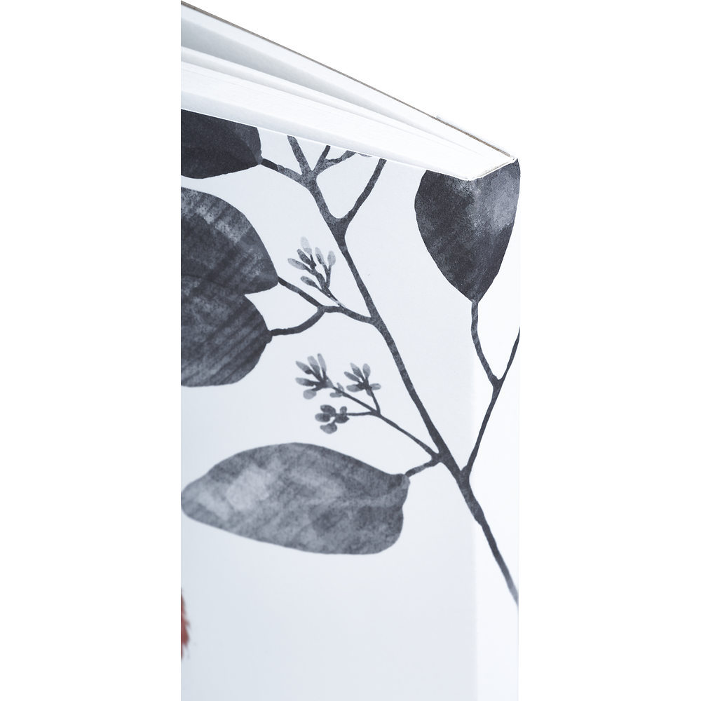 Packshot open [1503]