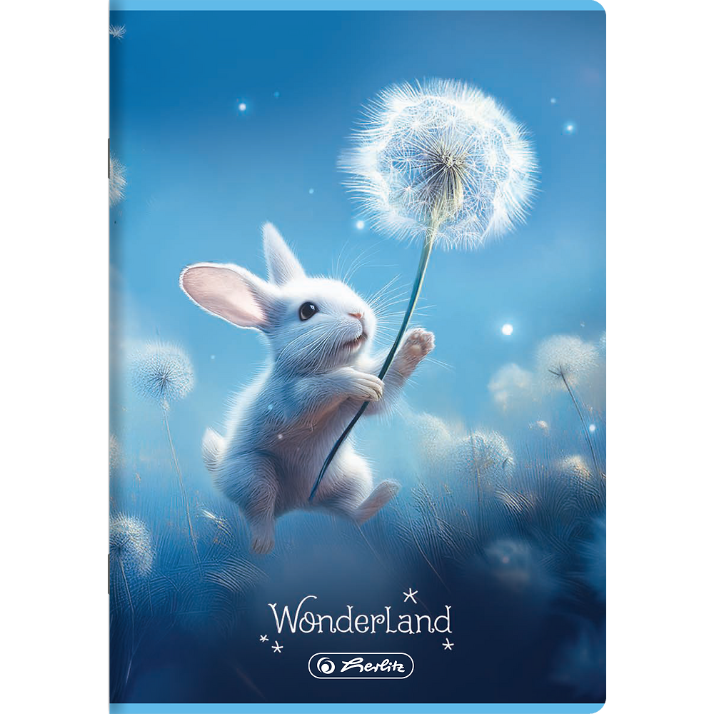 Zdjęcie główne [MP]