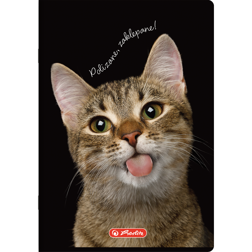 Packshot open [1503]