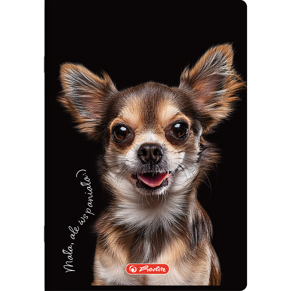 Zdjęcie główne [MP]