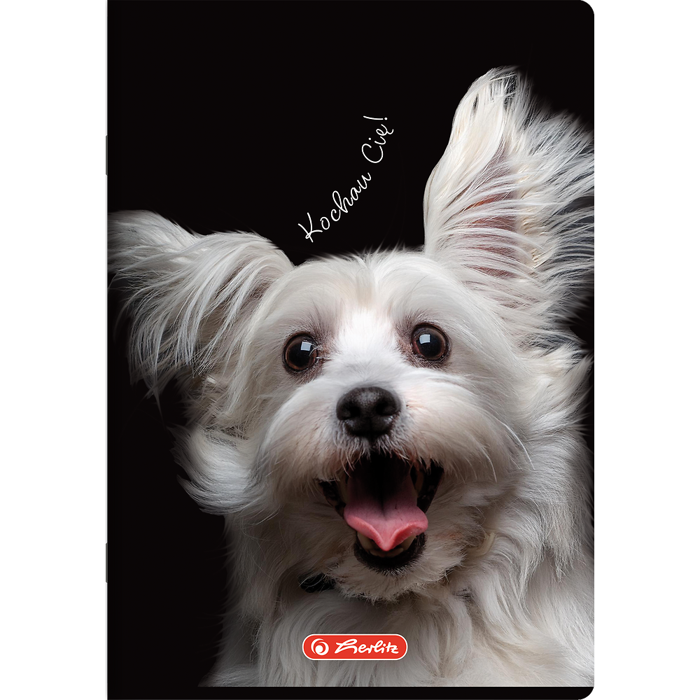 Zdjęcie główne [MP]