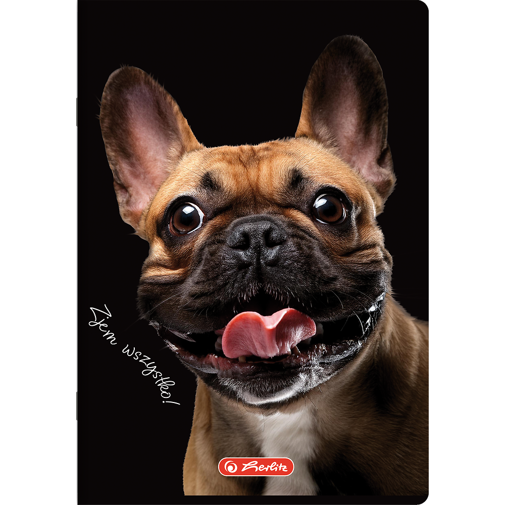 Zdjęcie główne [MP]