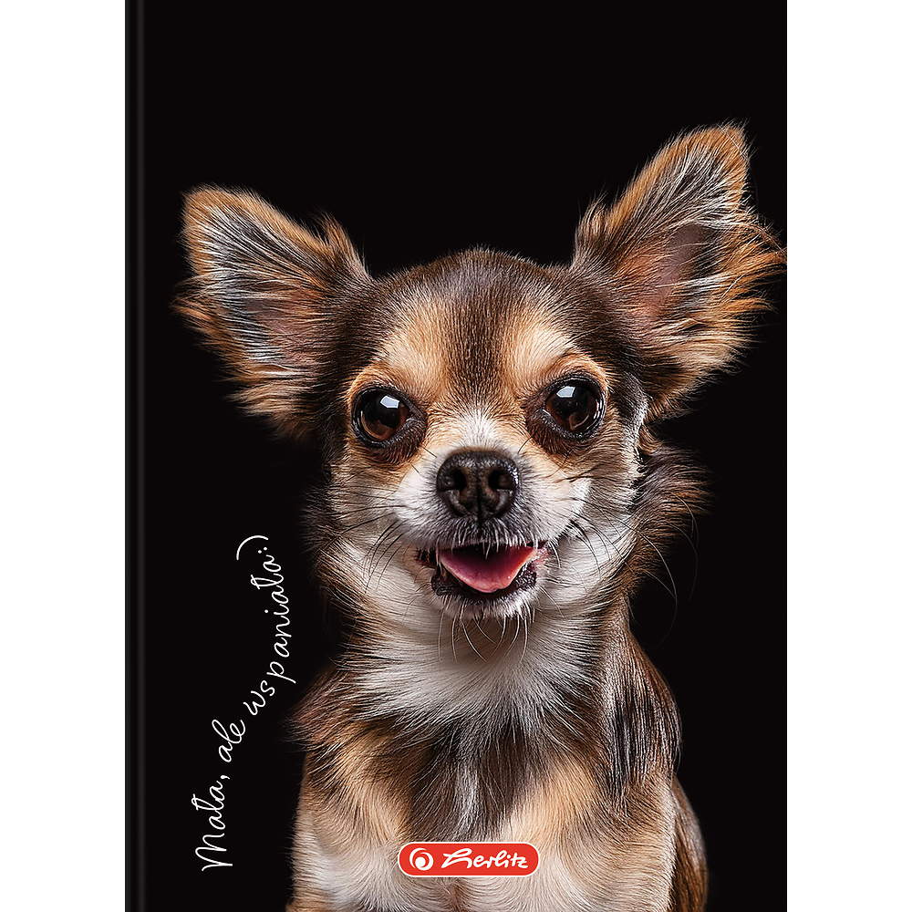 Zdjęcie główne [MP]