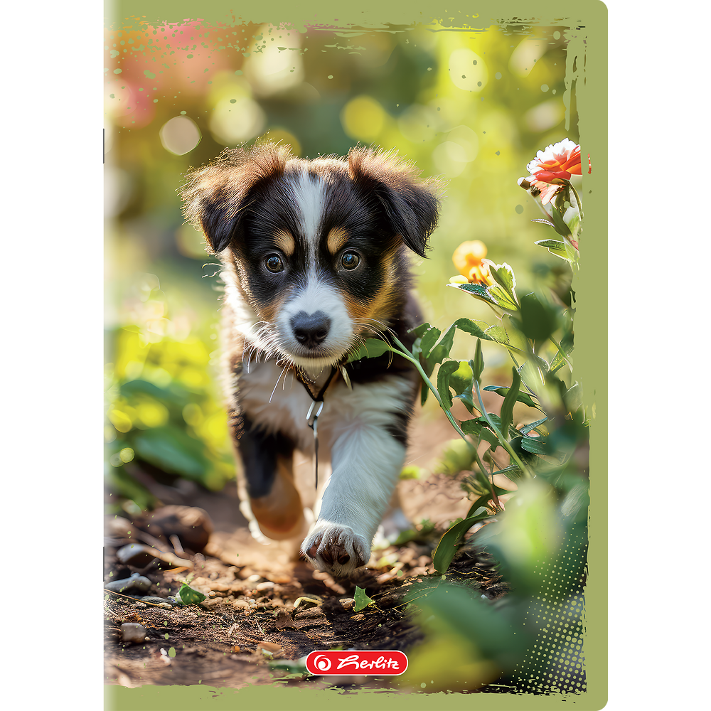 Packshot open [1502]