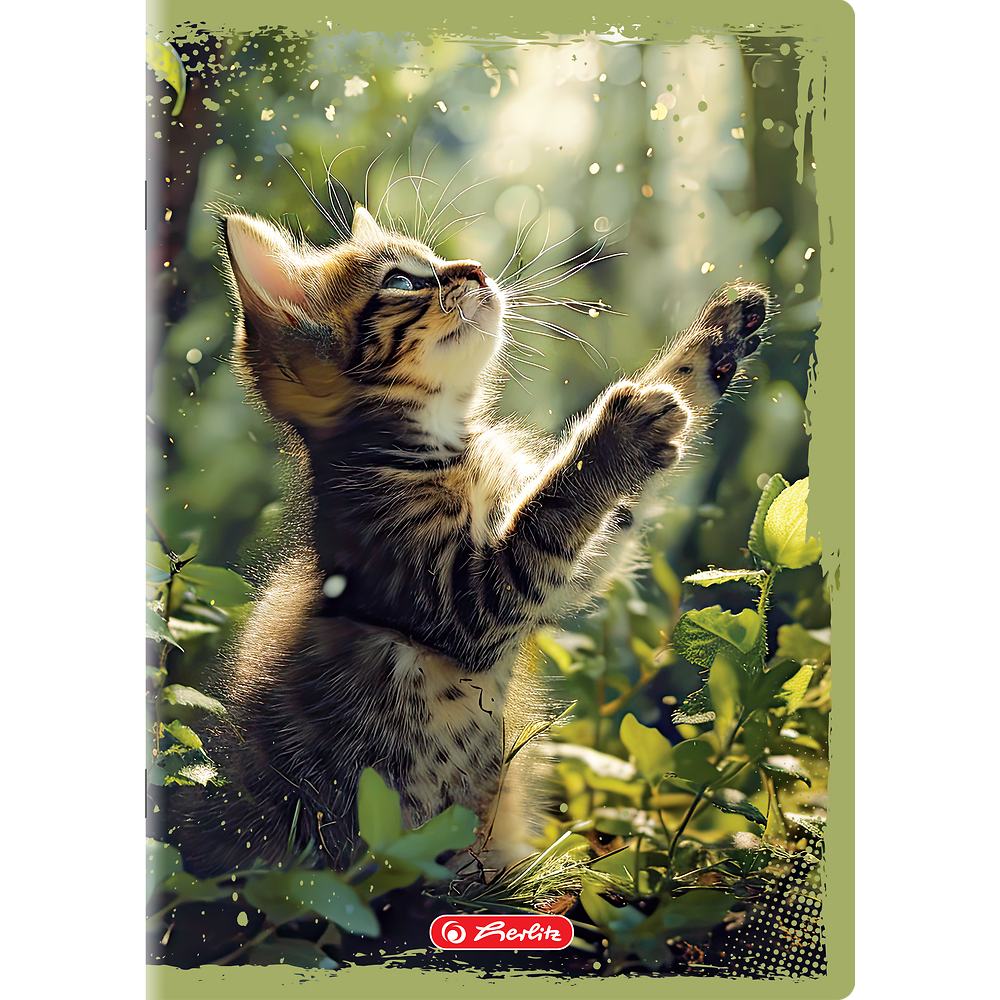 Packshot open [1503]