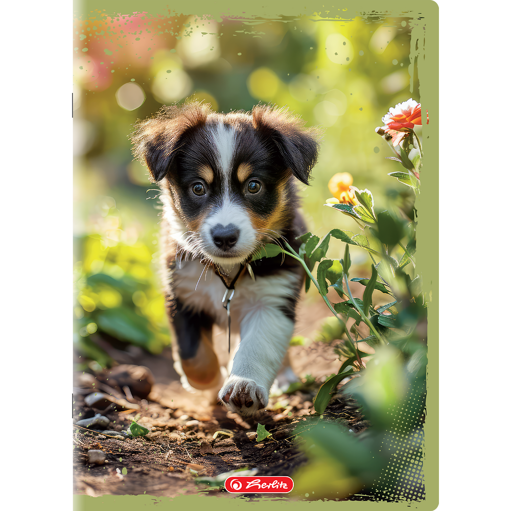 Packshot open [1501]