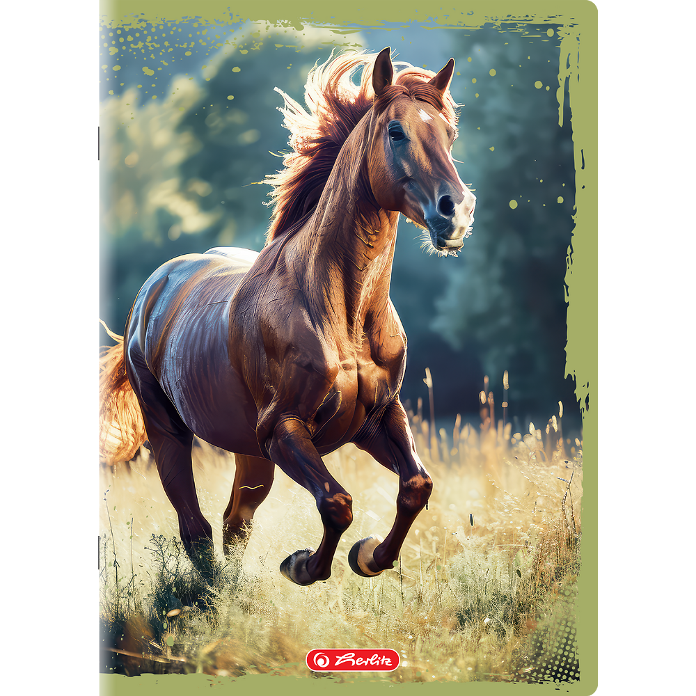 Packshot open [1502]