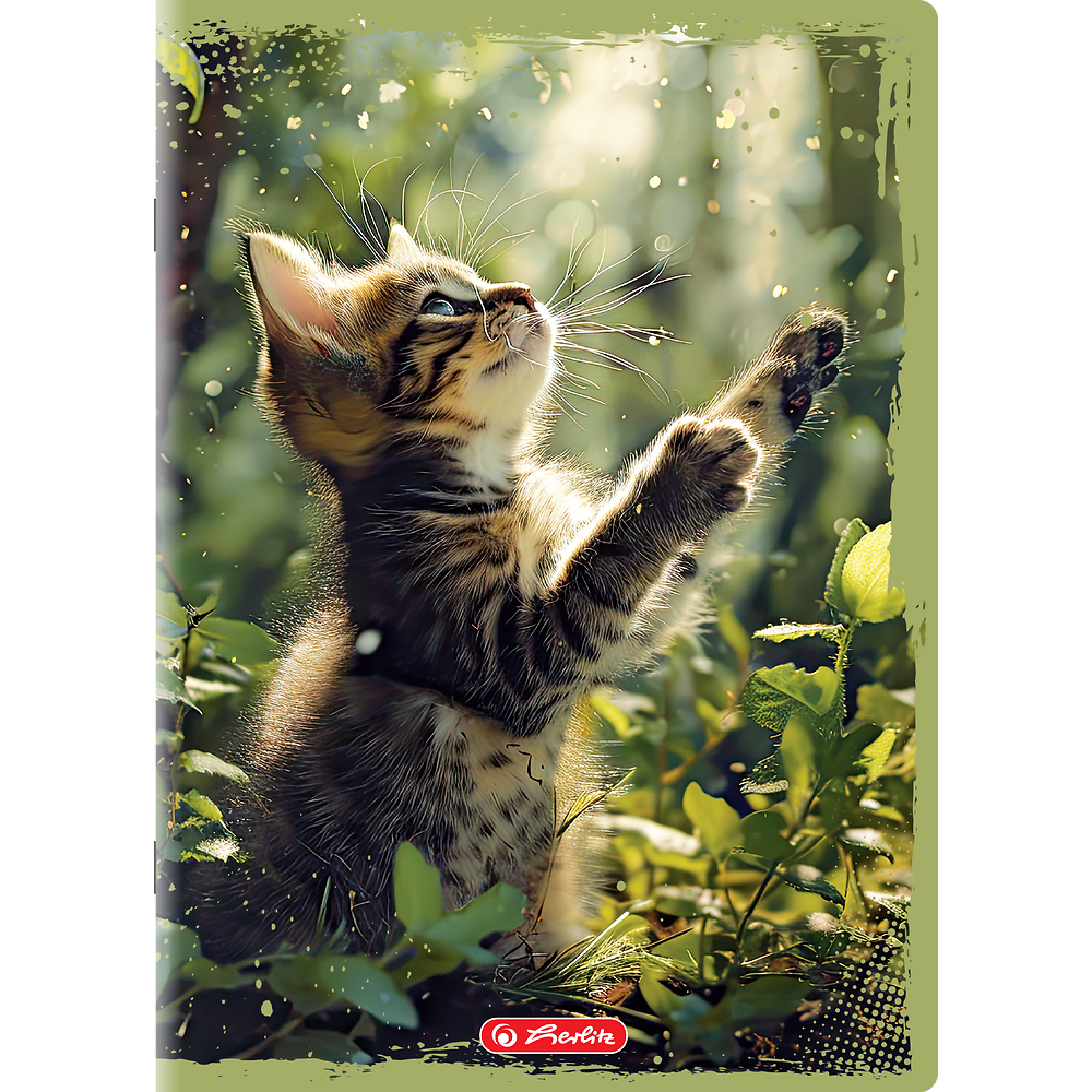 Zdjęcie główne [MP]