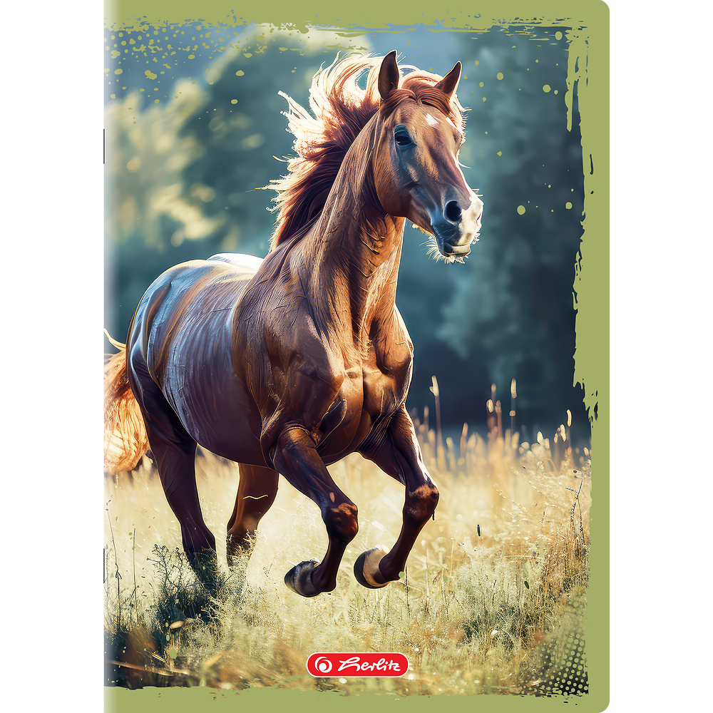 Packshot open [1503]