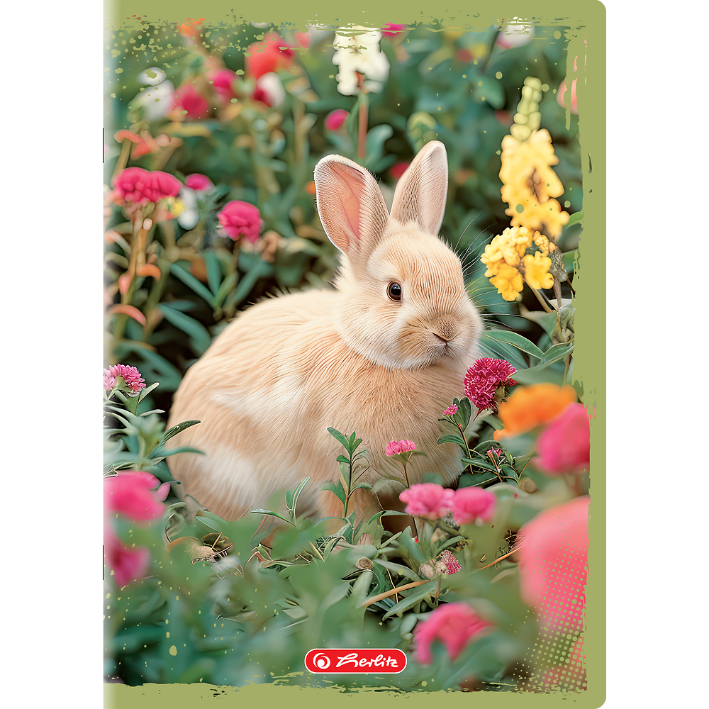 Zdjęcie główne [MP]