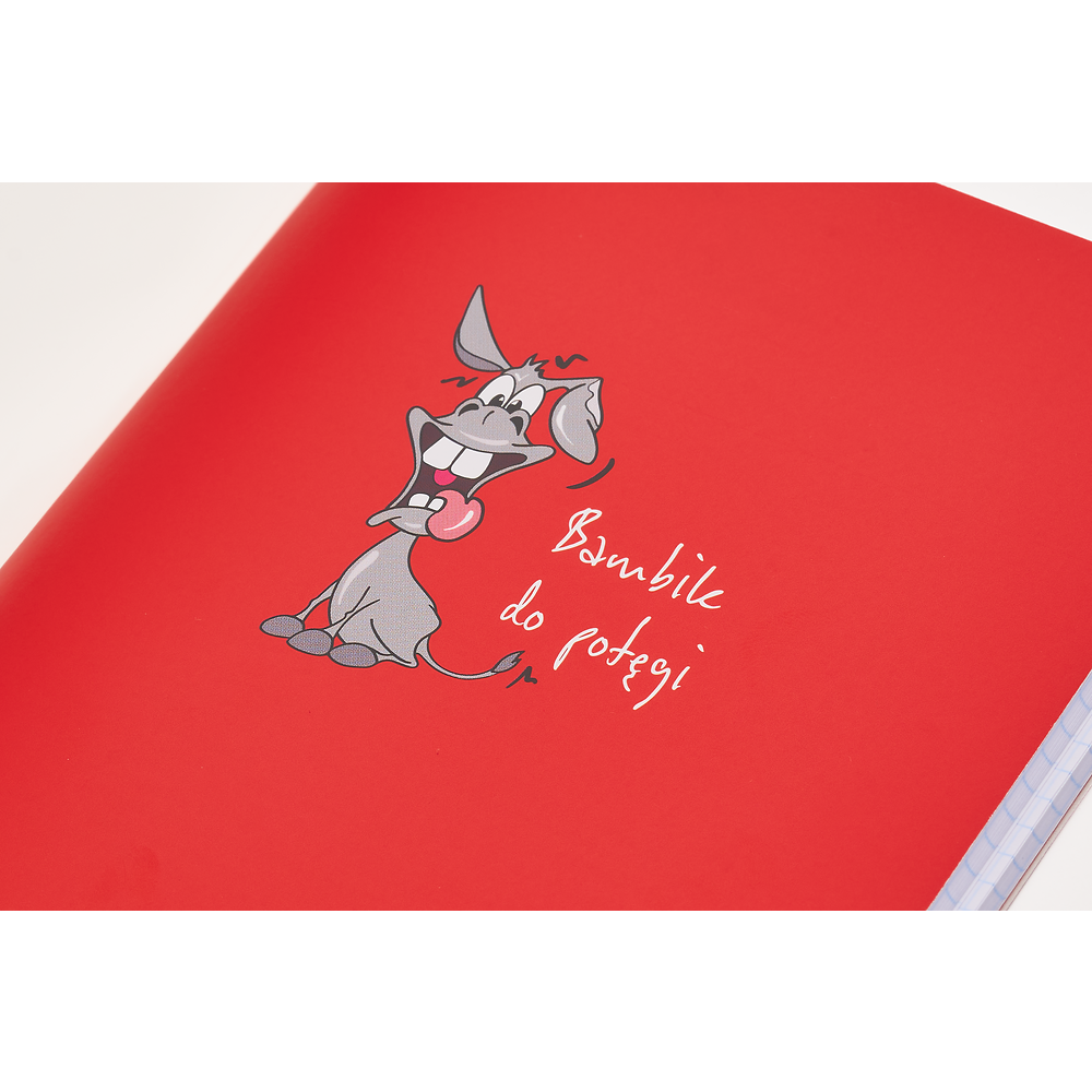 Packshot open [1505]