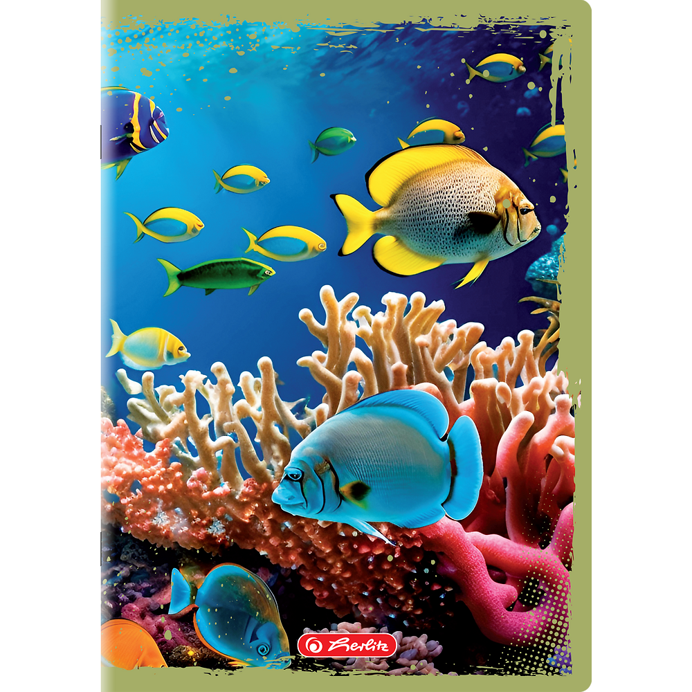 Packshot open [1502]