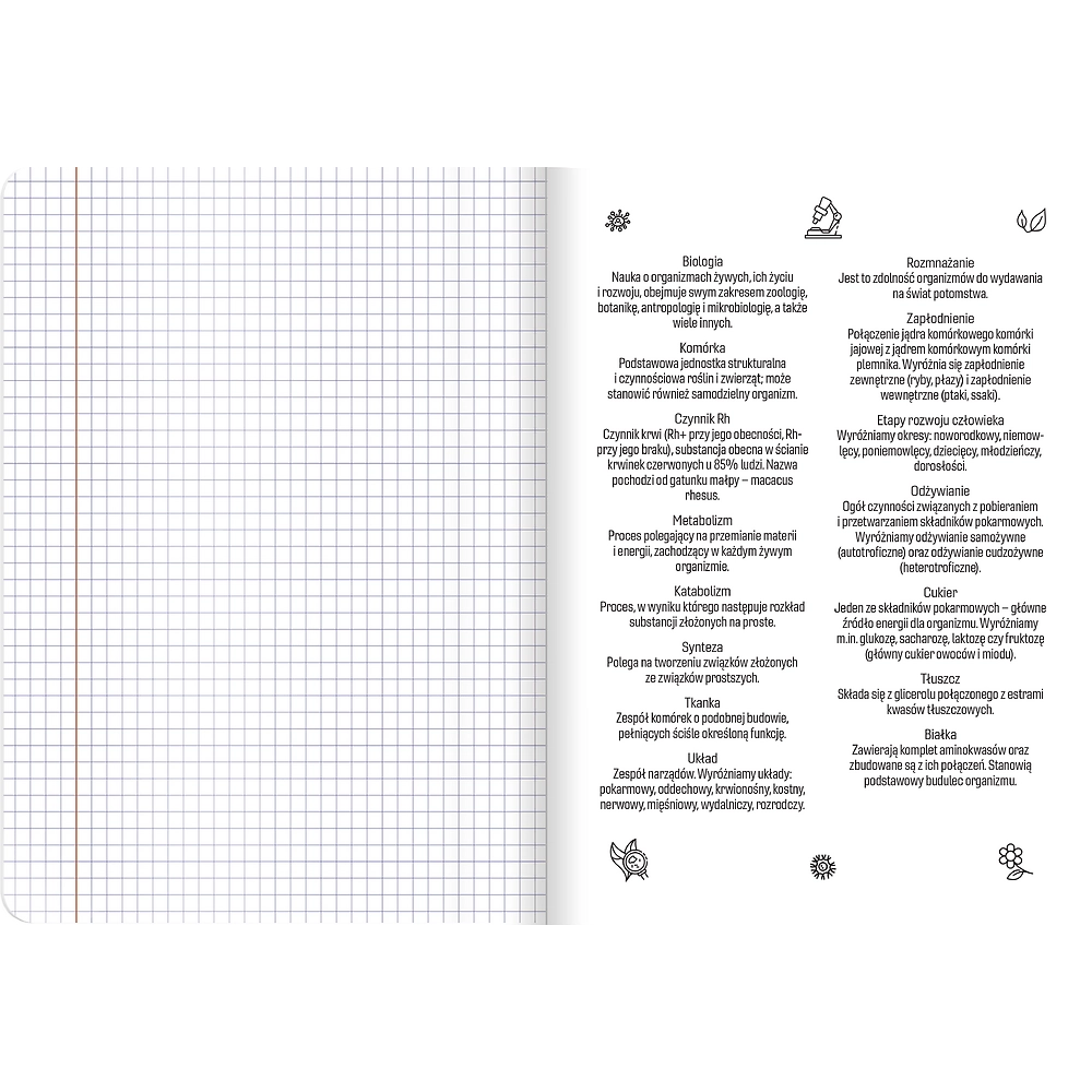 Packshot open [1501]