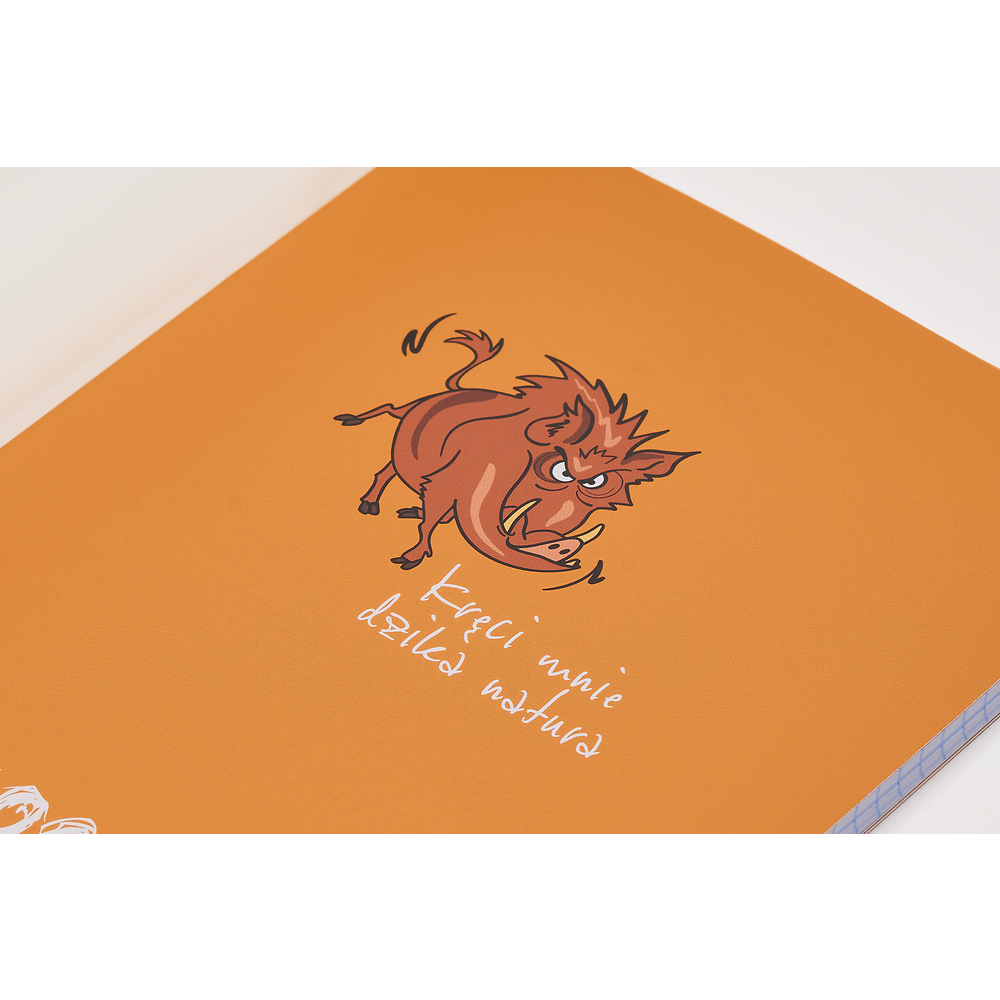 Packshot open [1505]