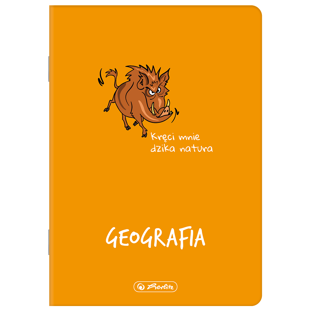 Zdjęcie główne [MP]