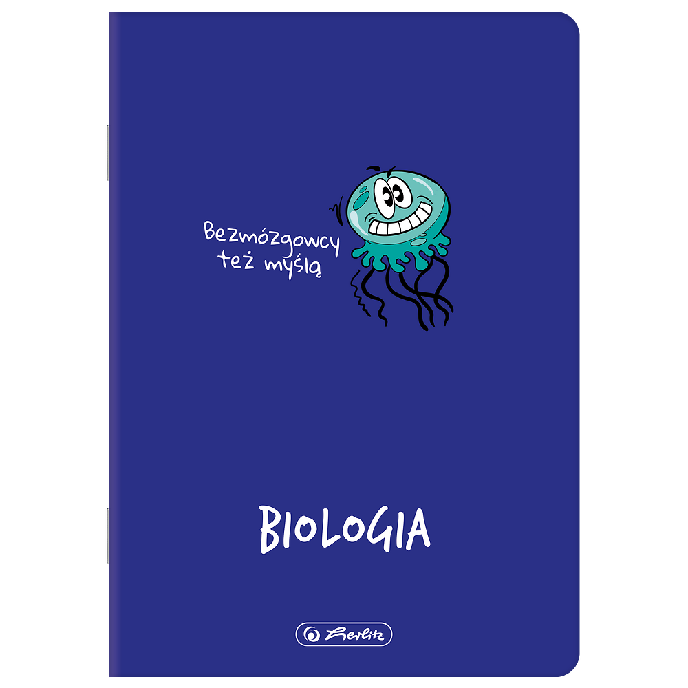 Zdjęcie główne [MP]