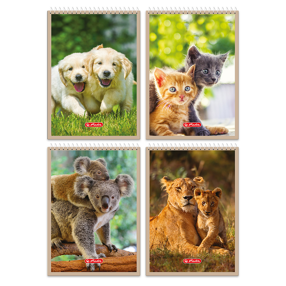 Zdjęcie główne [MP]