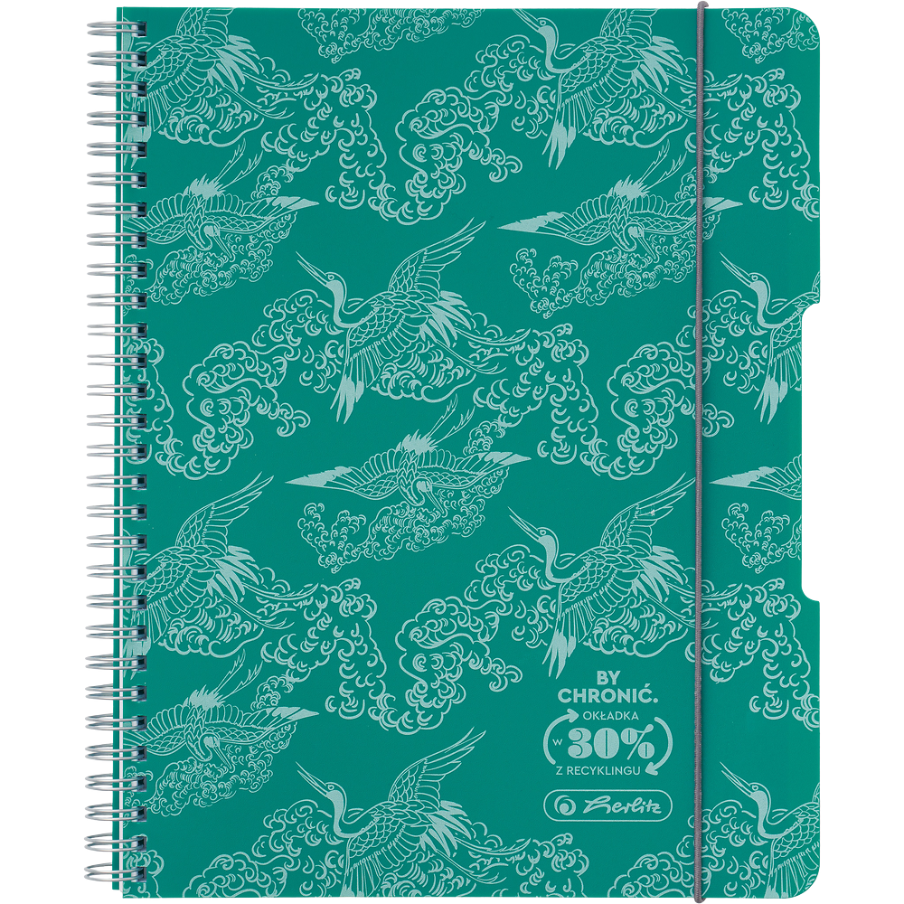 Zdjęcie główne [MP]