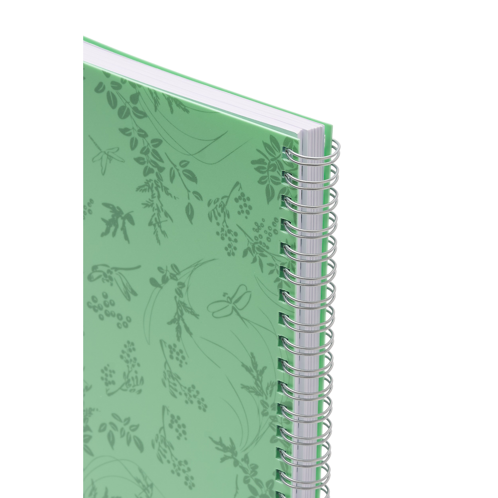 Packshot open [1501]