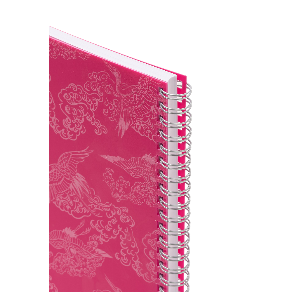 Packshot open [1501]