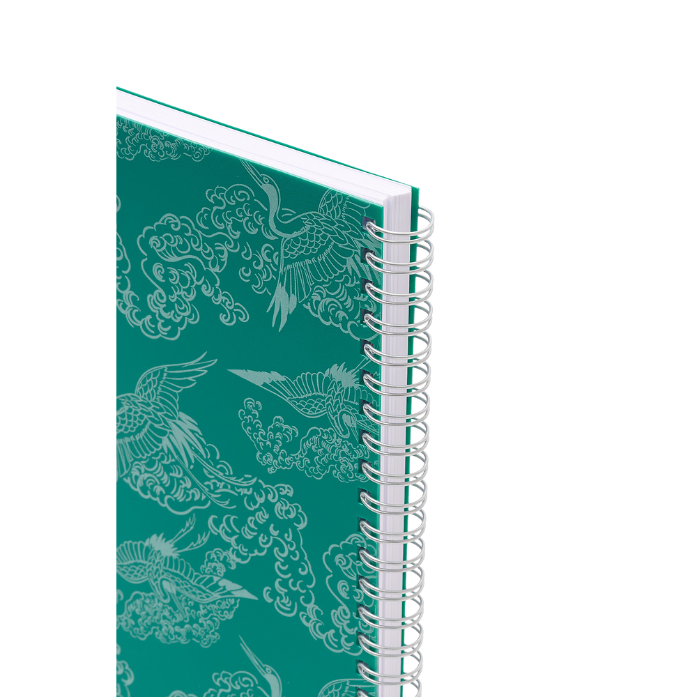 Packshot open [1502]