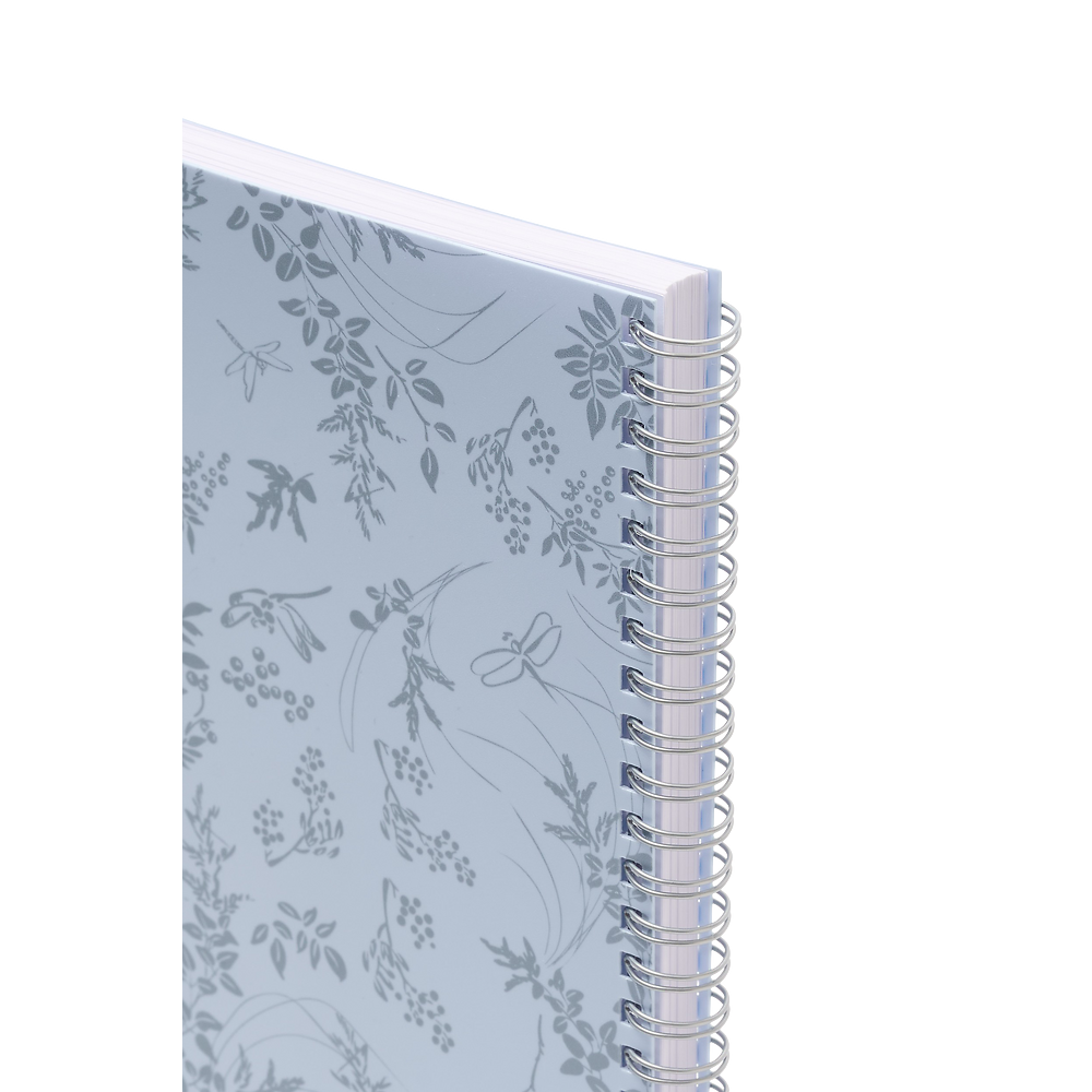 Packshot open [1503]