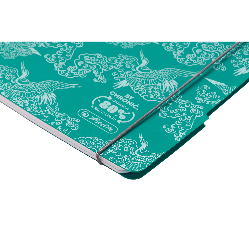 Packshot open [1501]