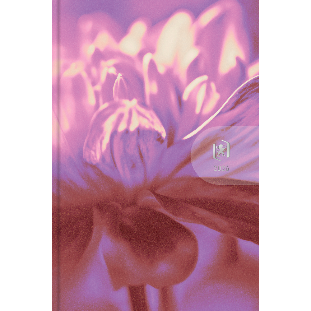 Full Face Packshot - one color [1100]