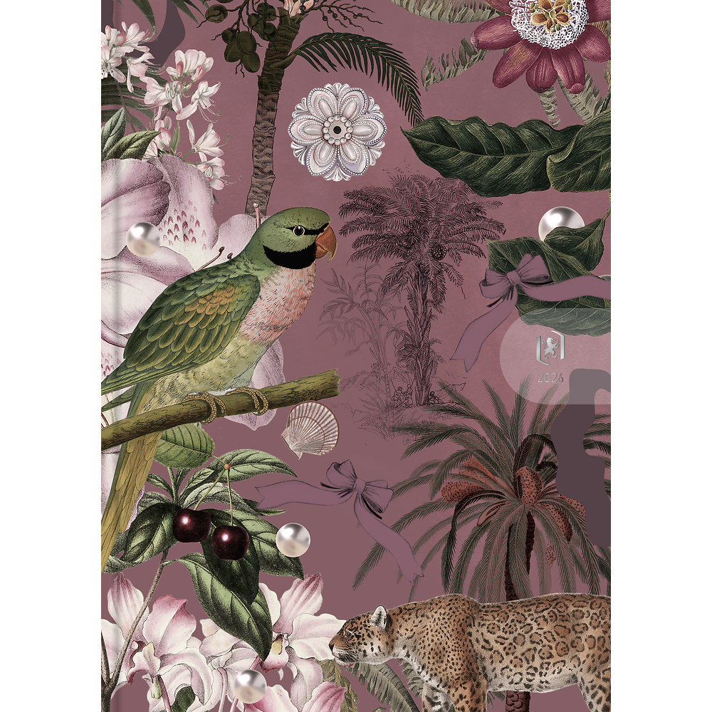 Packshot open [1503]