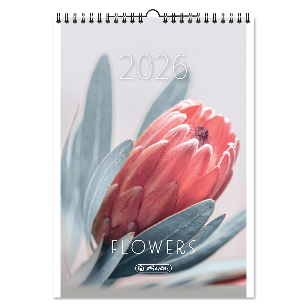 Packshot open [1502]