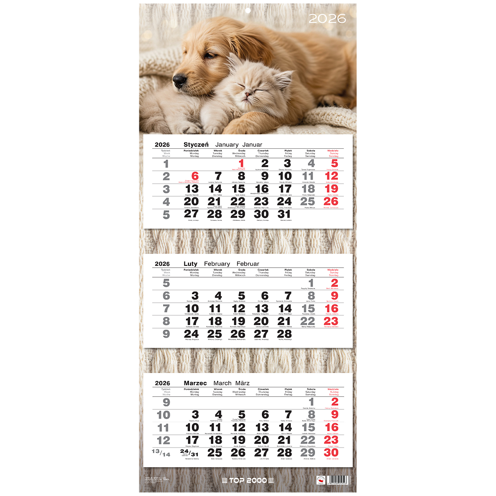 Packshot open [1503]