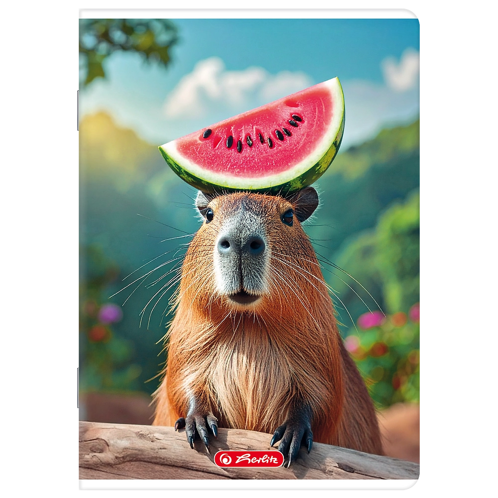 Packshot open [1505]