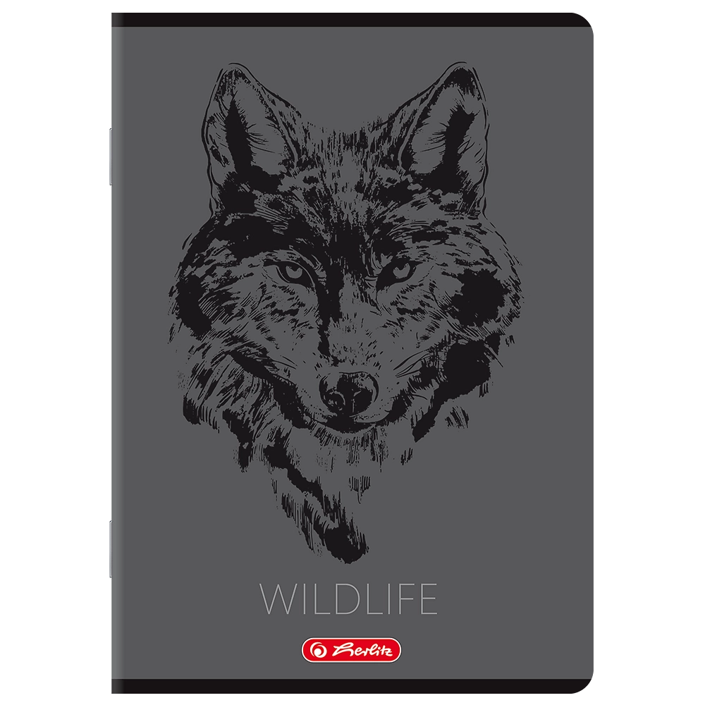 Packshot open [1503]