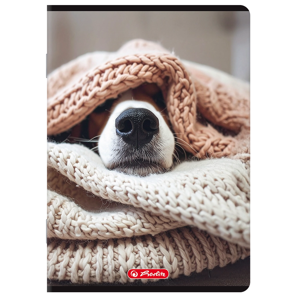 Packshot open [1504]