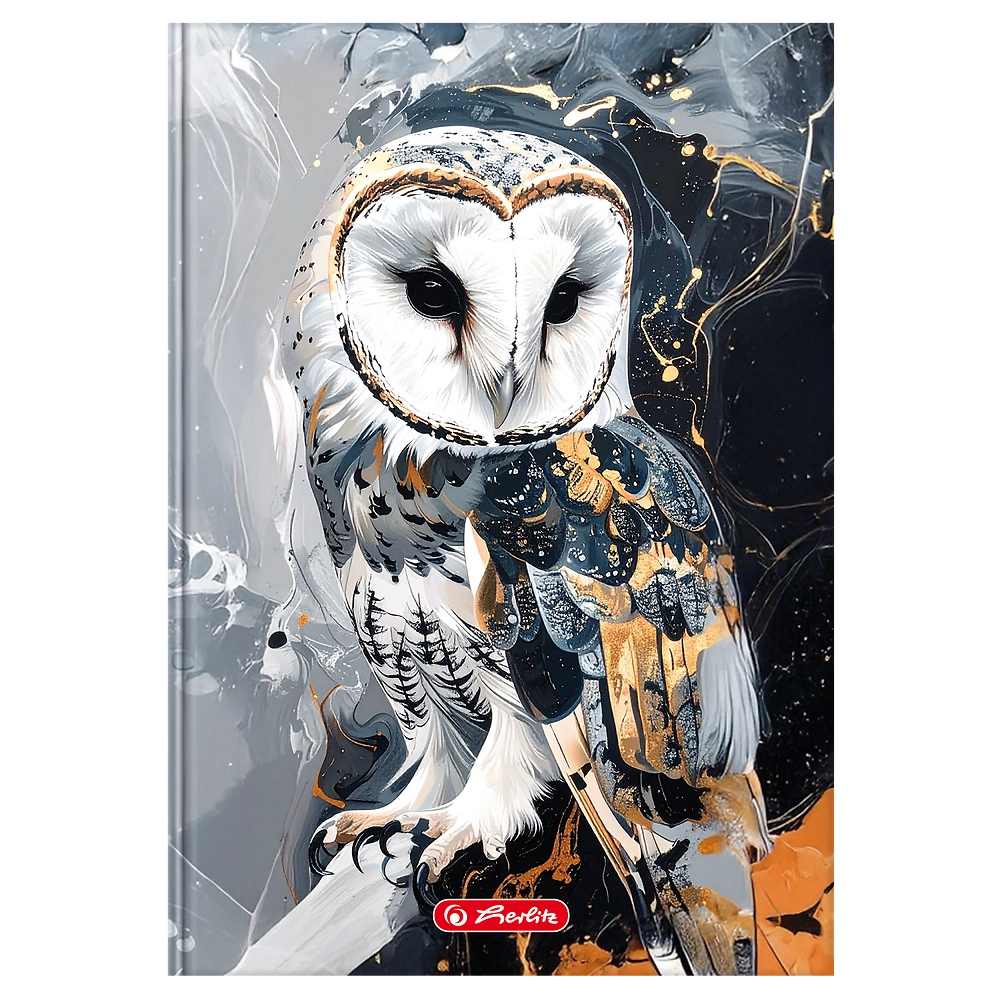 Packshot open [1507]