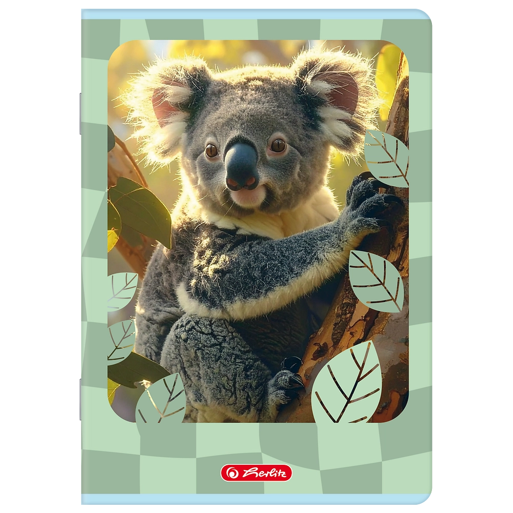 Packshot open [1501]