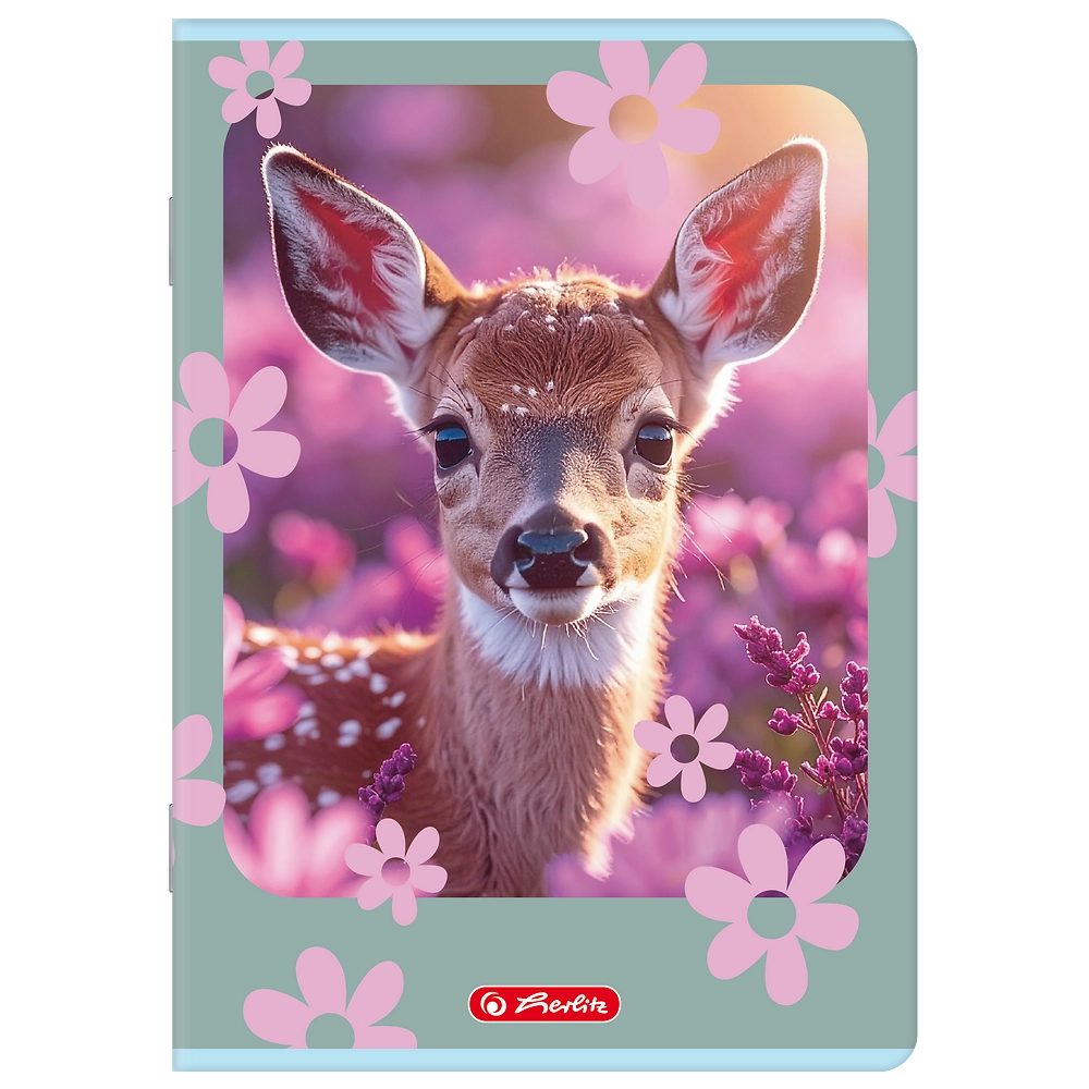 Packshot open [1503]