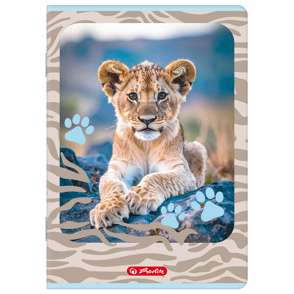 Packshot open [1506]