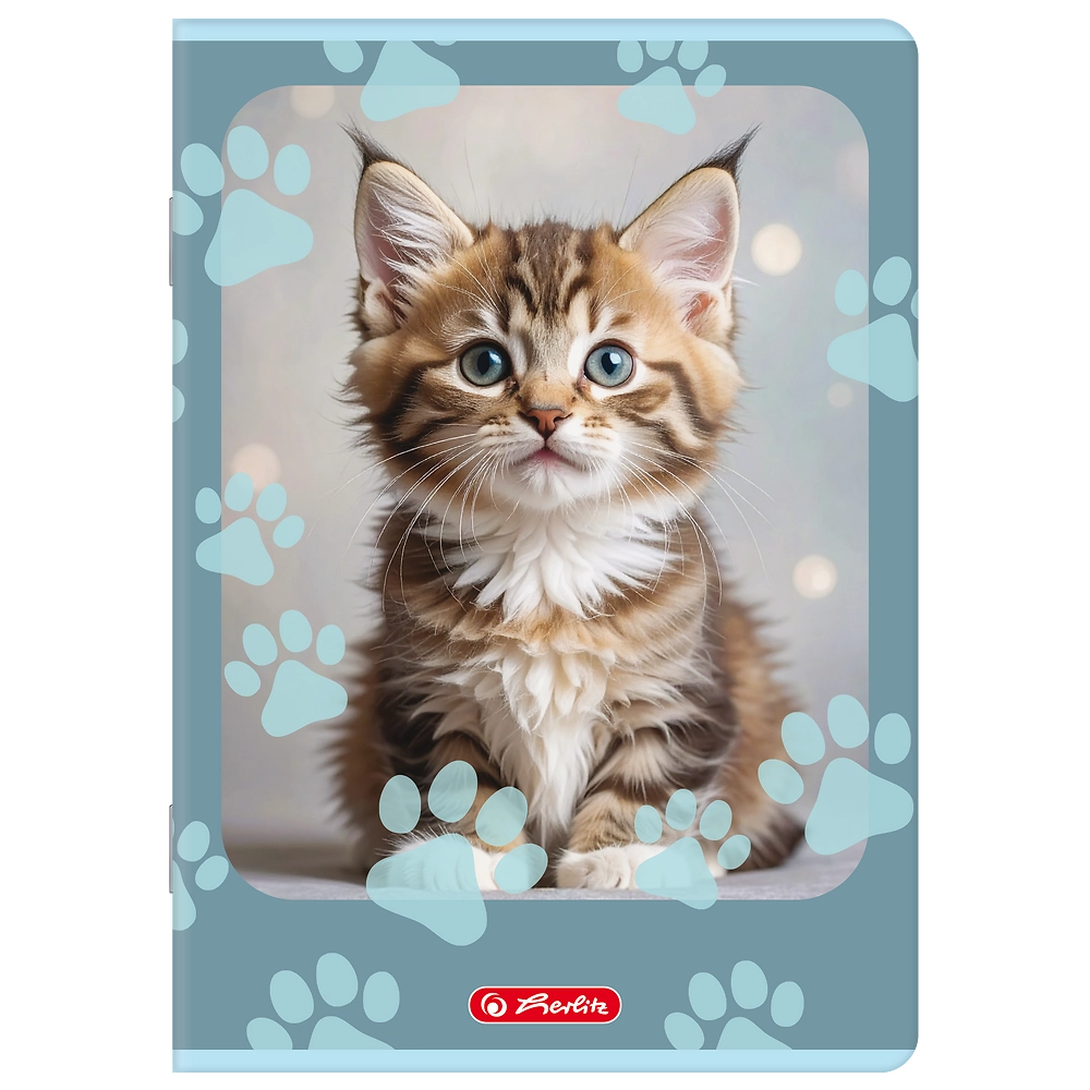 Zdjęcie główne [MP]