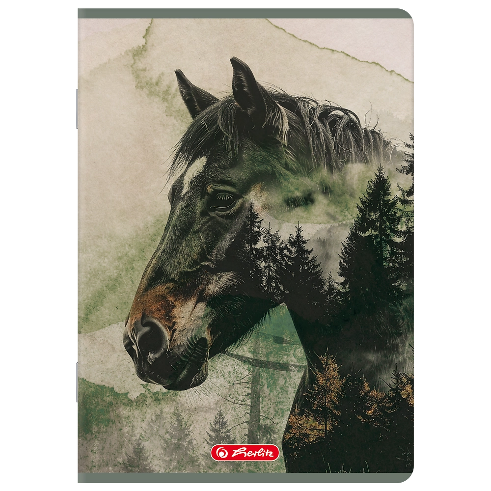 Zdjęcie główne Polska [MAIN]