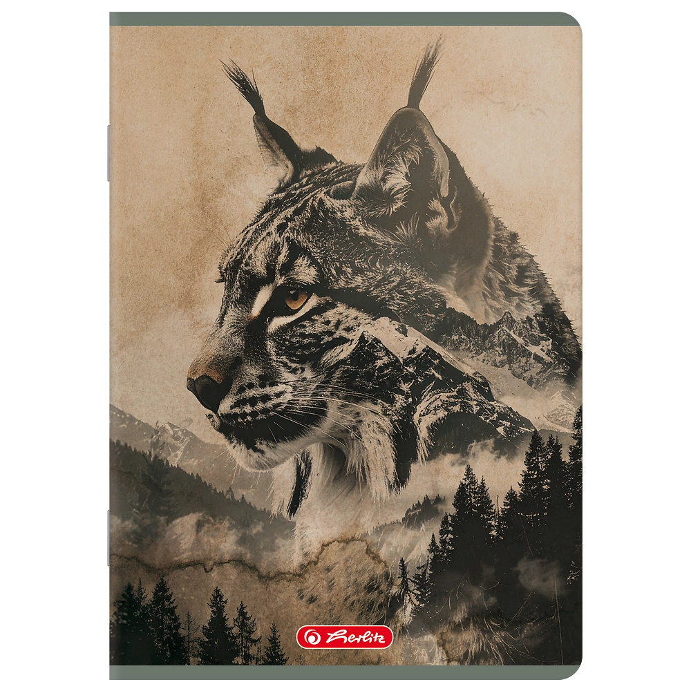 Packshot open [1504]