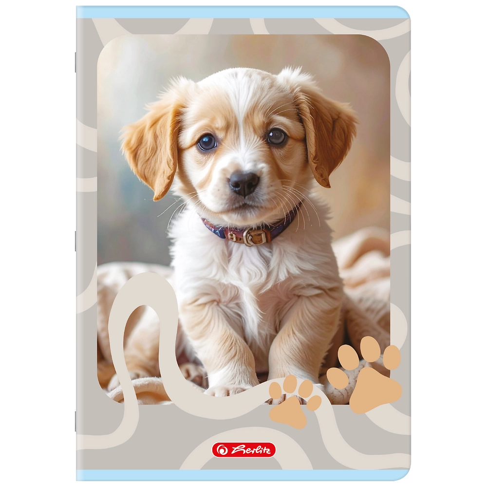 Packshot open [1501]