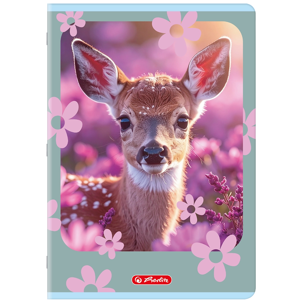 Packshot open [1502]