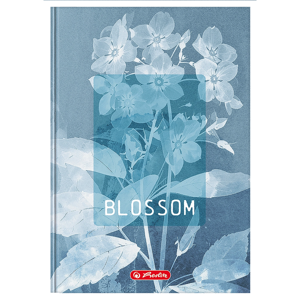 Packshot open [1502]