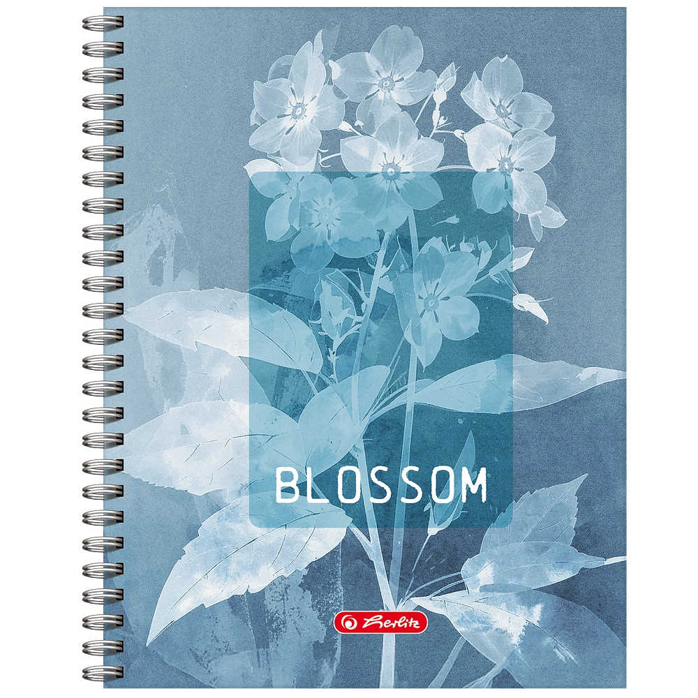 Packshot open [1501]