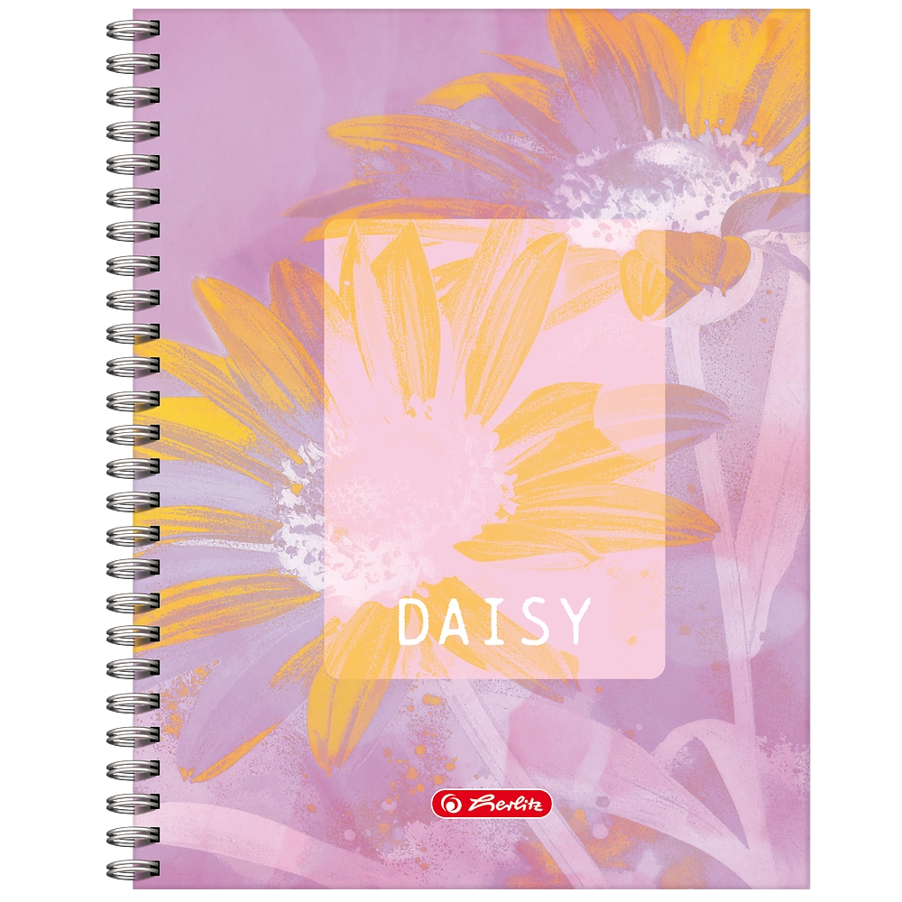 Packshot open [1503]