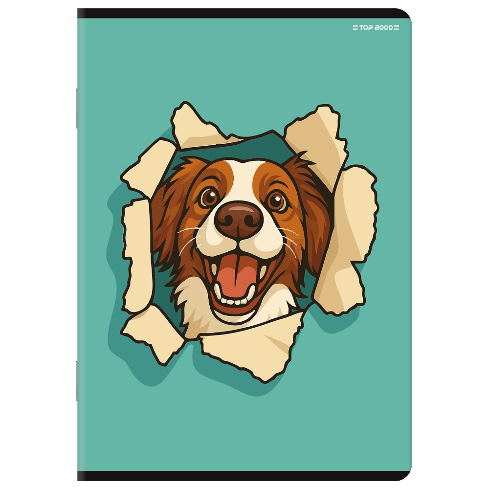 Packshot open [1506]