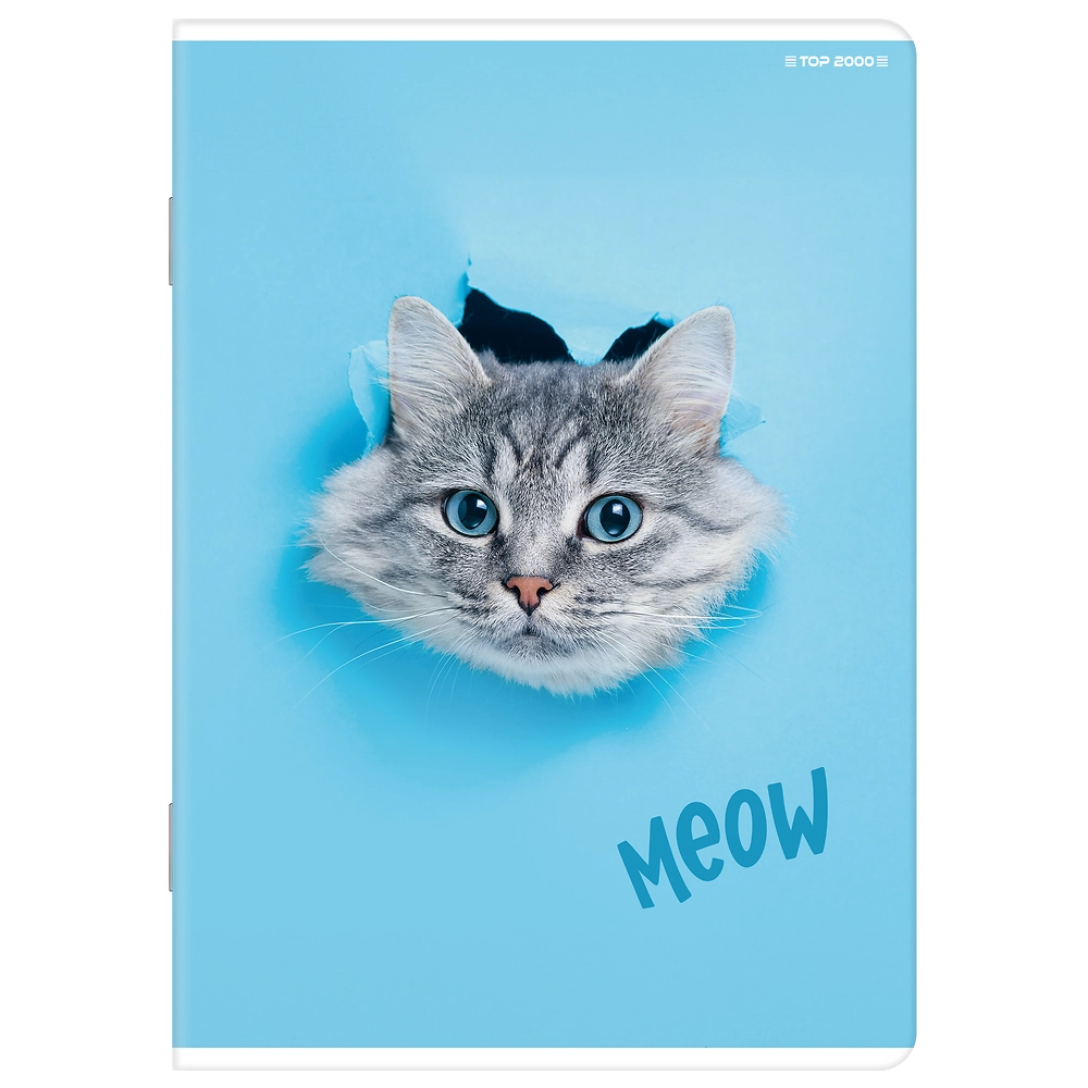 Packshot open [1504]